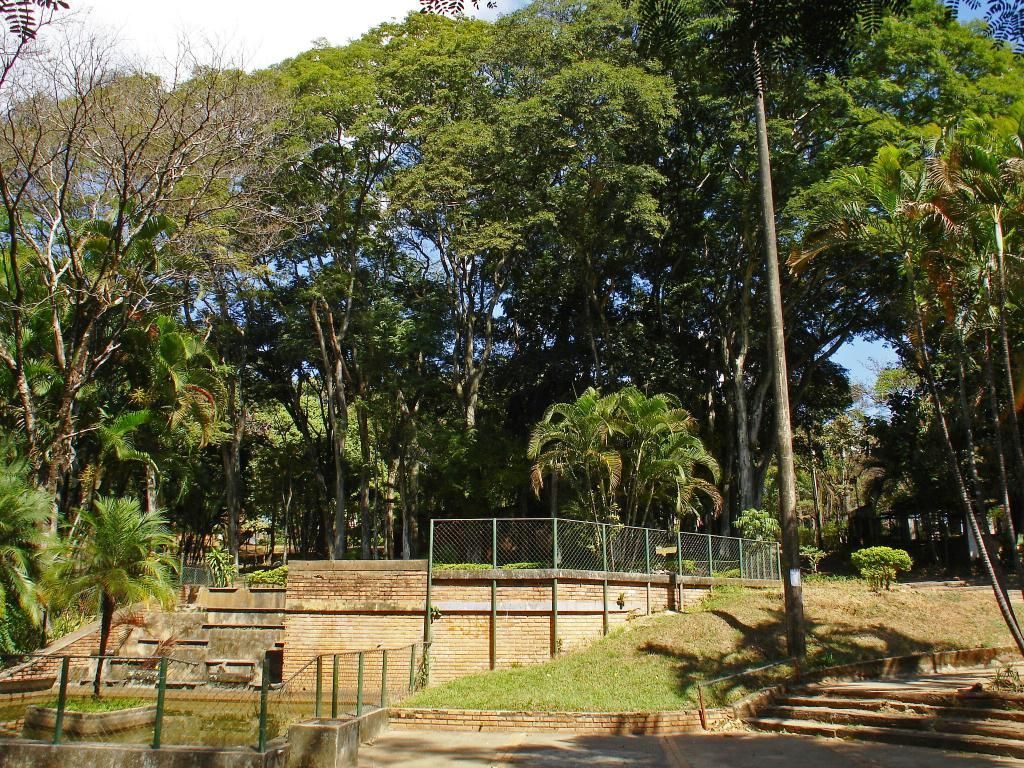 Mulher se finge de morta após ser estuprada e atacada com pedradas dentro de parque de BH