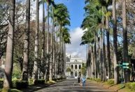 BH é reconhecida como ‘Cidade Árvore do Mundo’ ao lado de outras capitais