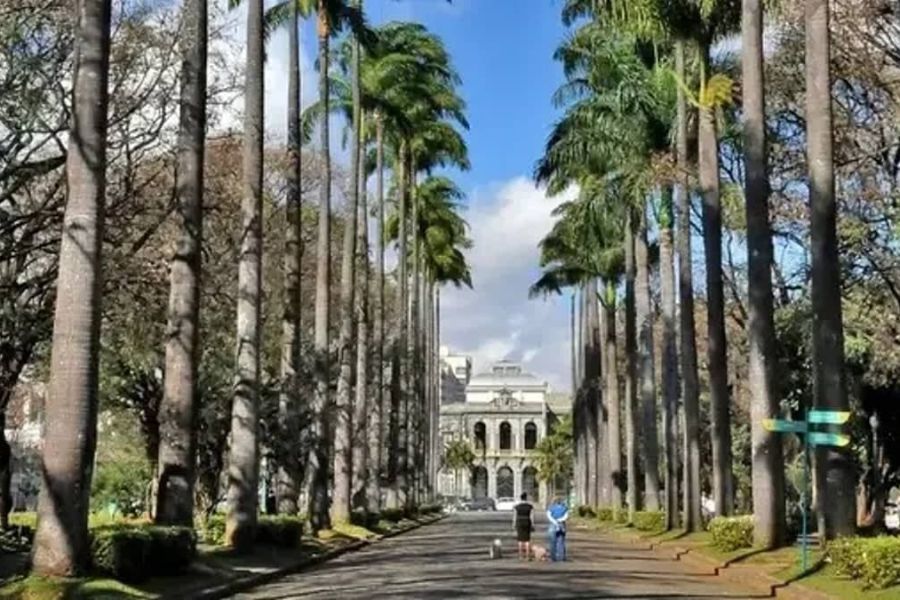 BH é reconhecida como ‘Cidade Árvore do Mundo’ ao lado de outras capitais