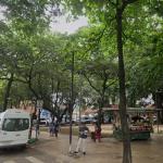 Fim da linha de ônibus gera revolta no Ribeiro de Abreu, em BH: 'Vai prejudicar idosos e pacientes'