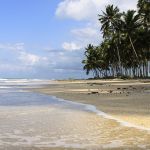 Confira a lista das 7 melhores praias do Brasil, segundo a National Geographic