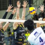 'Final pão de queijo': veja ranking de títulos da Superliga por estado