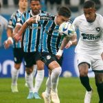 Botafogo x Grêmio: horário e onde assistir ao vivo pelo Brasileiro 