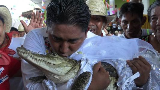 Prefeito casa com crocodilo em cerimônica para prosperidade