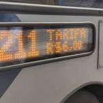 Vereadores mantêm veto ao PL que obriga PBH a informar aumento da passagem de ônibus com antecedência