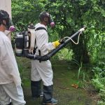 Combate ao Aedes aegypti: Prefeitura de Viçosa aplica inseticida em bairros com casos confirmados de dengue