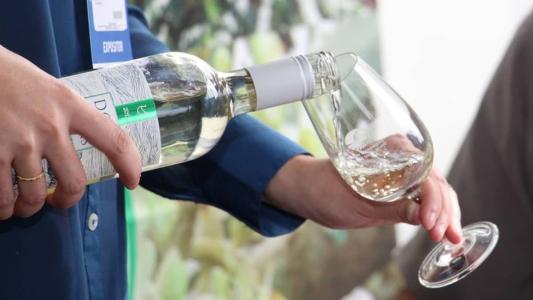Prêmio da CNA destaca melhores vinhos e espumantes do Brasil
