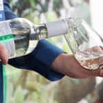 Prêmio vai escolher os melhores vinhos de pequenos produtores do Brasil