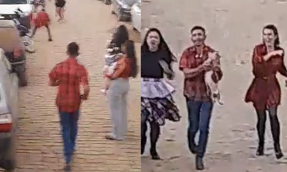 Prêmio de bingo, leitoa foge e cantor de Festa Junina em Minas ‘vira herói’ ao resgatá-la; vídeo