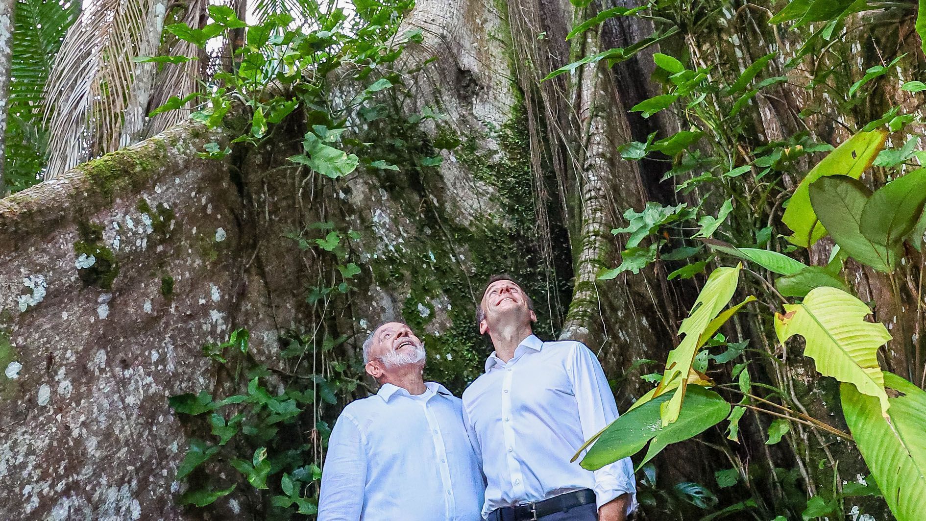 Apelo de Belém: o que é acordo assinado por Lula e Macron com programa de R$ 5,4 bilhões para Amazônia