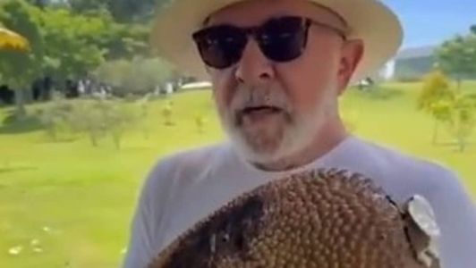 Presidente Lula gravou vídeo segurando uma jaca e desejando boa sorte aos candidatos do Enem