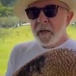 Lula 'ensina' o que é uma jaca e deseja boa sorte para candidatos do Enem