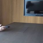 Presidente do Real Madrid se reúne com Vini Jr após ataques racistas