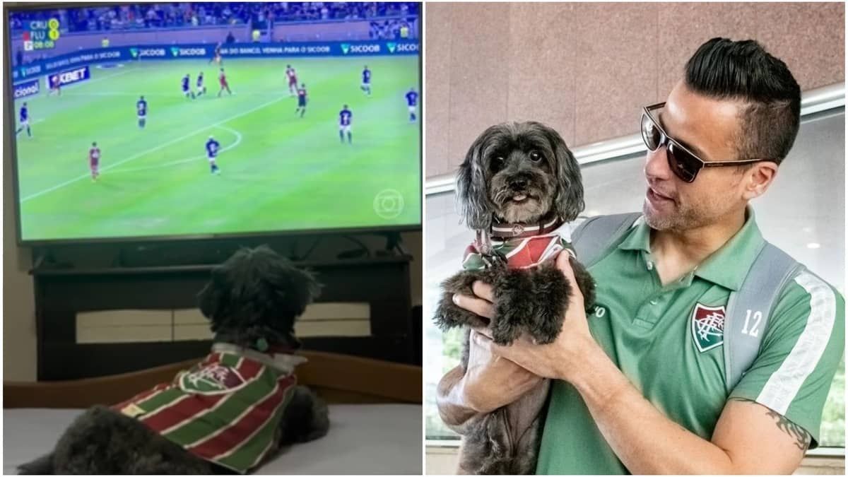 Cachorrinha torcedora do Fluminense celebra vitória sobre o Cruzeiro; assista