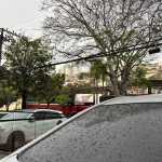 Chuva e trovoadas: veja como fica a previsão do tempo para o domingo (7) em BH