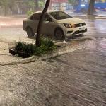 Previsão do tempo: sexta-feira será de pancadas de chuva e trovoadas em Belo Horizonte
