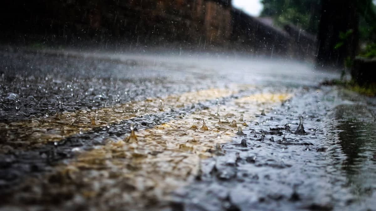 Temporais de até 50 mm devem atingir 75 cidades de Minas; veja quais 