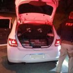 BR-040: PRF e Gaeco apreendem 116 kg de maconha em Juiz de Fora