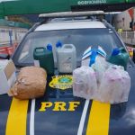 Mil pinos de cocaína são apreendidos na BR-116, em Leopoldina (MG)