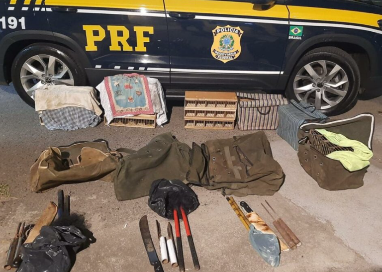 Motorista é preso pela 13ª vez por transporte ilegal de pássaros silvestres