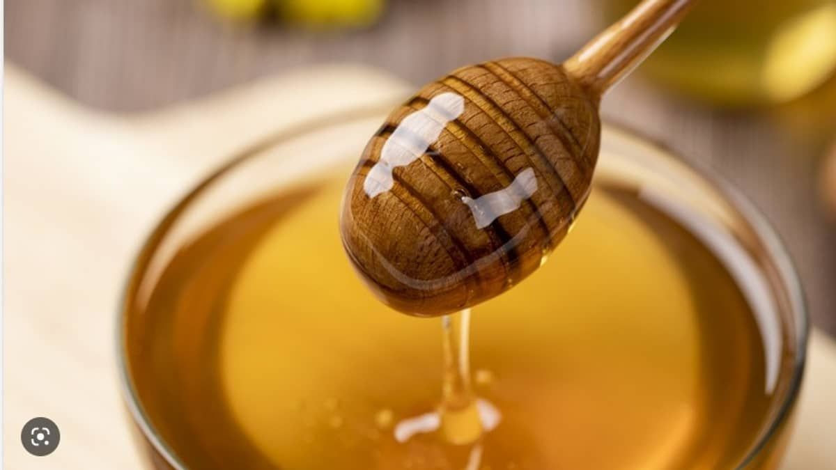 Pesquisadores do Norte de Minas exaltam a qualidade do Mel de Aroeira, que é antioxidante e antiinflamatório  