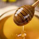 Pesquisadores do Norte de Minas exaltam a qualidade do Mel de Aroeira, que é antioxidante e antiinflamatório
