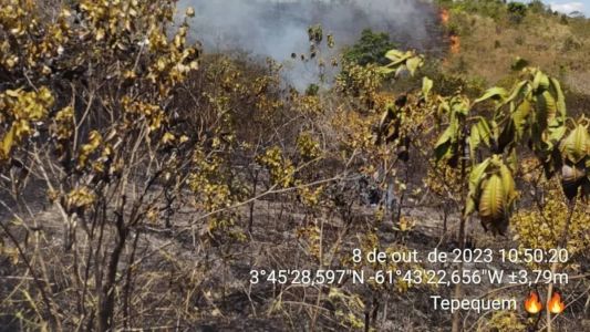 Principal região turística de Roraima enfrente incêndios florestais desde setembro deste ano