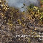 Incêndios florestais deixam Roraima coberta de fumaça: 'desastre' 