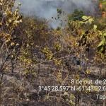 Incêndios florestais deixam Roraima coberta de fumaça: 'desastre'
