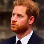 Príncipe Harry teria ficado calvo por causa da família real, diz especialista