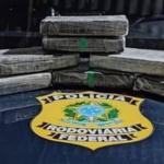 Cocaína escondida em banco de caminhão é encontrada por cães farejadores e motorista é preso