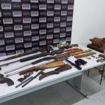 Polícia recupera javalis e prende homem em fábrica clandestina de armas artesanais em Minas