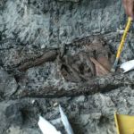 Ossada de criança indígena passa por tomografia computadorizada feita pela UFMG 