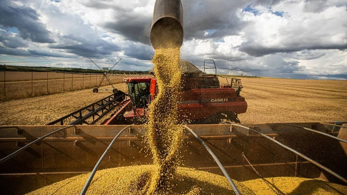 PIB da agropecuária cresce 17% no segundo trimestre de 2023 em relação ao mesmo período do ano passado, aponta IBGE