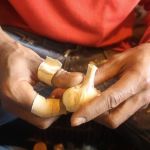 Agro mineiro registra mais de 1,9 mil empregos com carteira assinada em julho