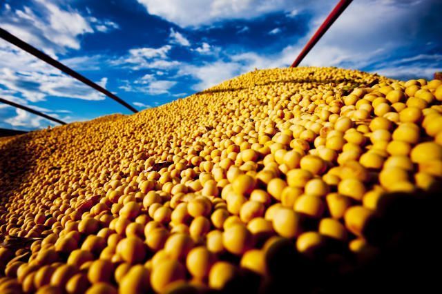 Commodities agrícolas: você conhece o mercado futuro?
