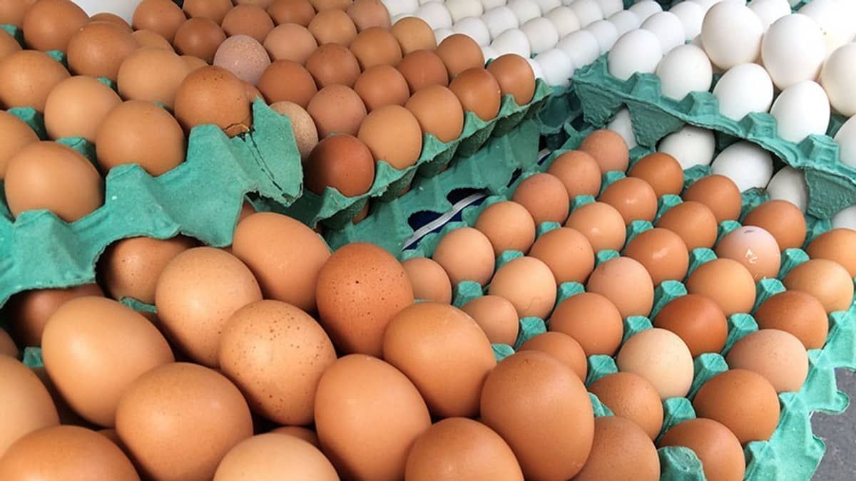 Inflação ‘frita’ bolsos com disparada dos ovos e do café em fevereiro