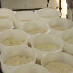 Reta final de inscrições para 'Concurso de Queijo Minas Frescal'