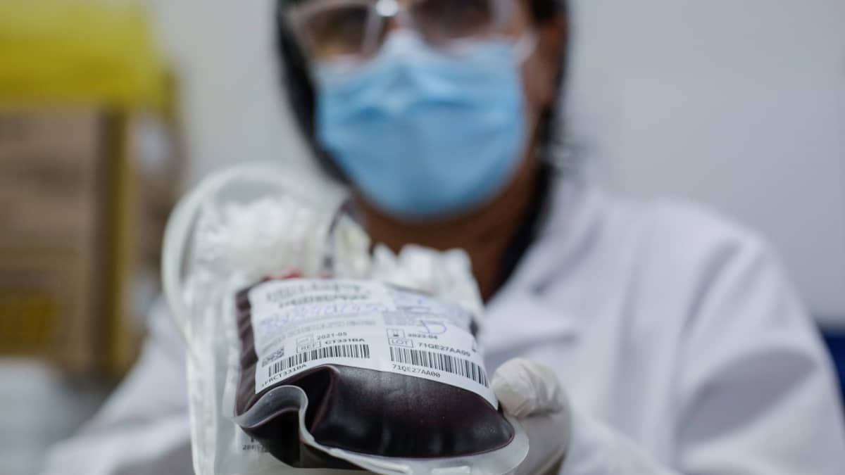 Produto da Fiocruz detecta bolsas de sangue com malária