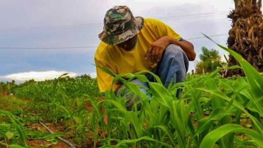 Produtor rural é considerado um profissional resiliente e batalhador