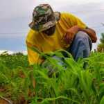 Inscrições abertas para 1º Encontro de Produtores Rurais de Juiz de Fora