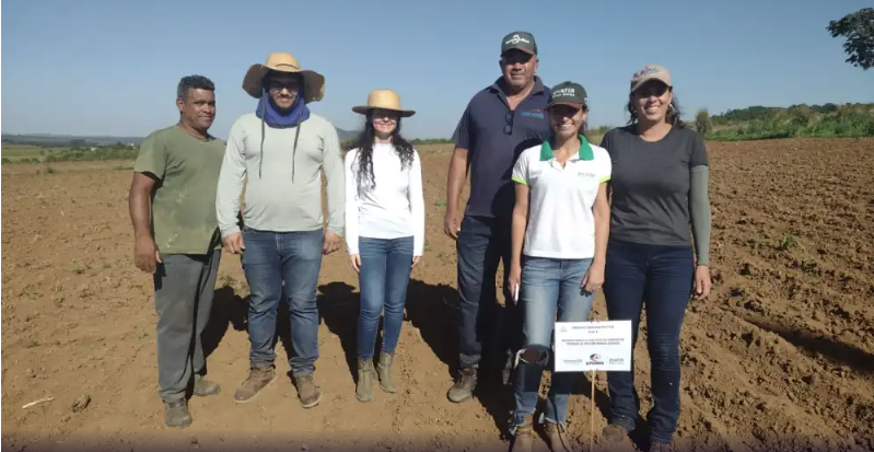 Cresce interesse e incentivos ao cultivo de arroz no estado; entenda