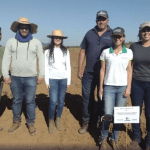 Cresce interesse e incentivos ao cultivo de arroz no estado; entenda
