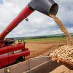Brasil precisa aumentar a produção de feijão em 44%