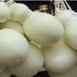 Dia do Queijo Artesanal: Minas 'descobre' nova variedade da iguaria