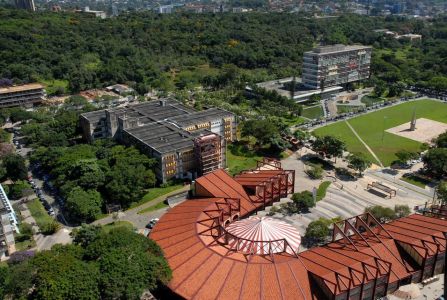 Professores da UFMG estão entre os cientistas mais influentes do mundo em decisões de governo
