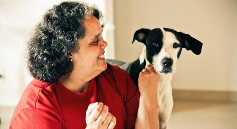5 mitos e verdades sobre cães vira-latas
