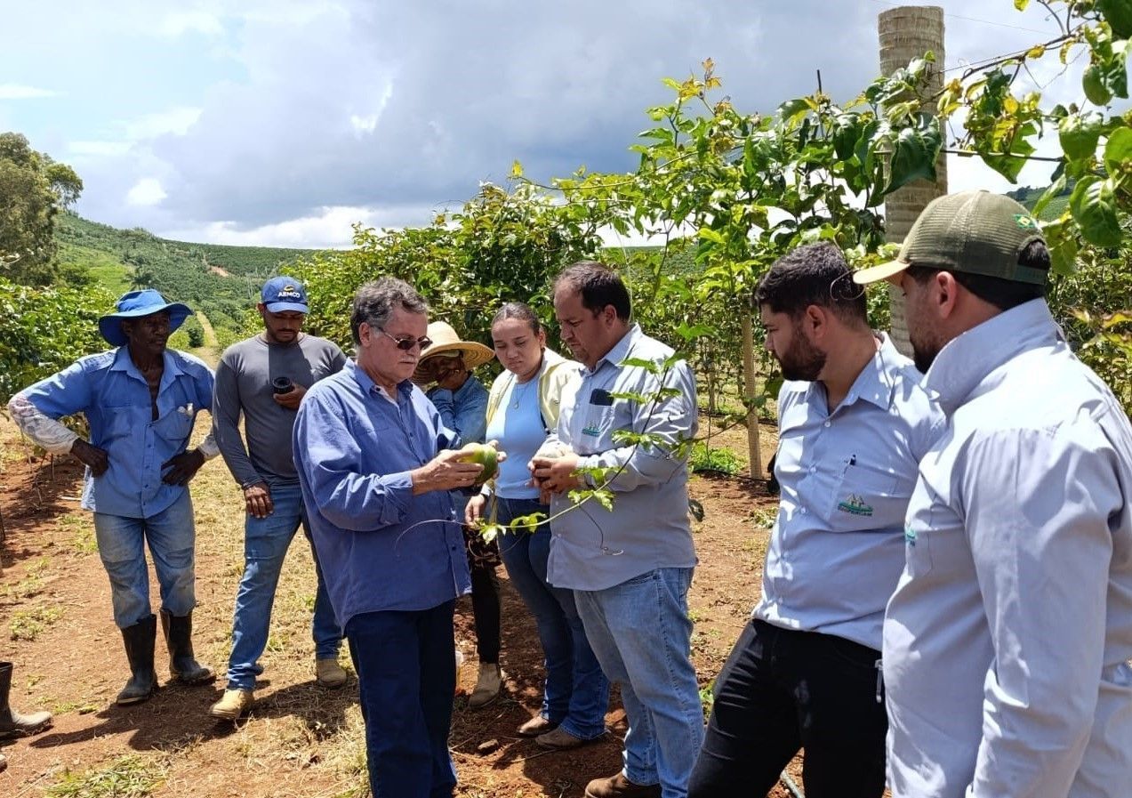 Projeto desenvolvido por cooperativas agrícolas faz primeira colheita de frutas