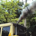 Projeto de enfrentamento às mudanças climáticas em BH é rejeitado na Câmara