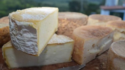 Projeto Minas Legal é voltado apenas para produtores de queijo Minas Artesanal
